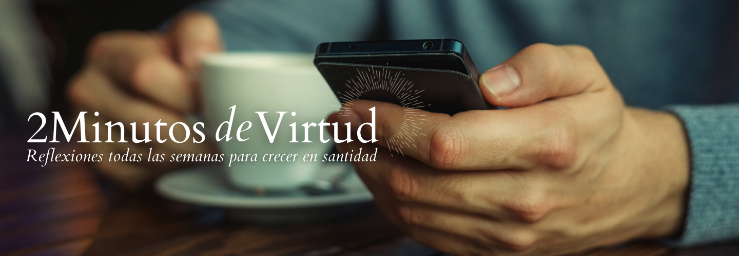 2mdev_banner